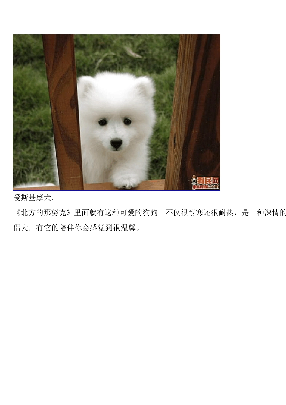 狗狗种类大全(图)_第3页