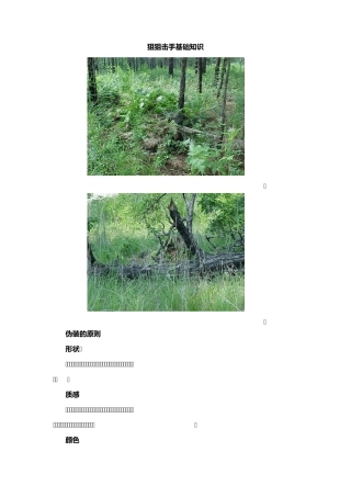 狙击手基础知识