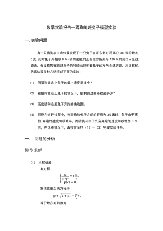 猎狗追兔子数学实验报告