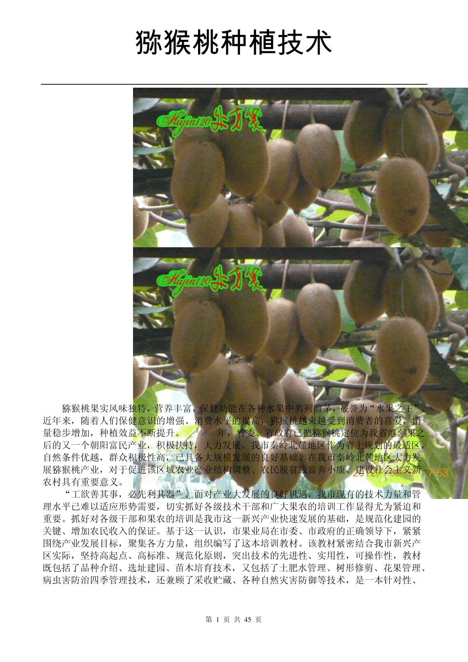 猕猴桃种植新技术_第1页