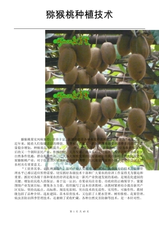 猕猴桃种植新技术