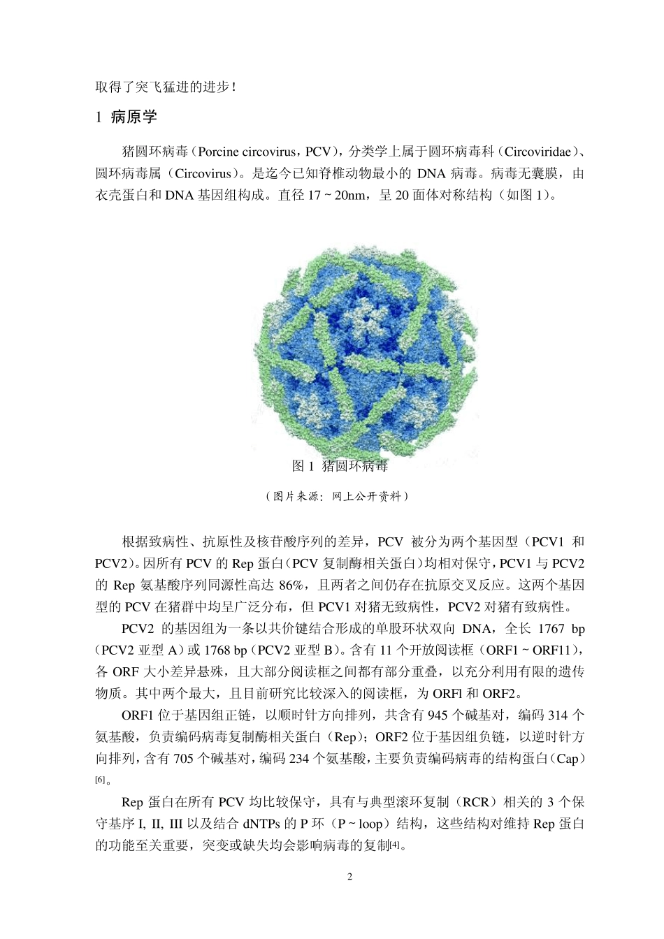 猪2型圆环病毒_第2页