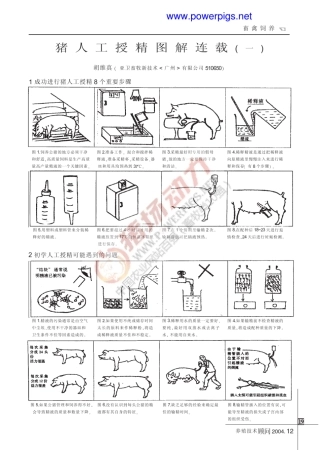 猪人工授精图解(含详细操作步骤)