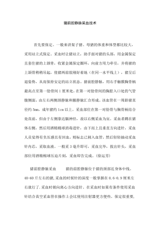 猪前腔静脉采血技术详细解说