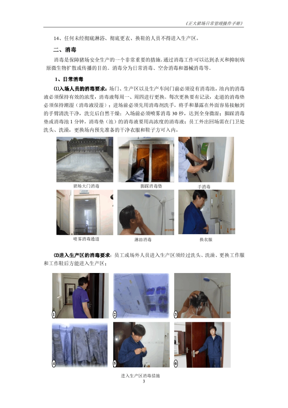 猪场日常管理操作手册(正大)_第3页