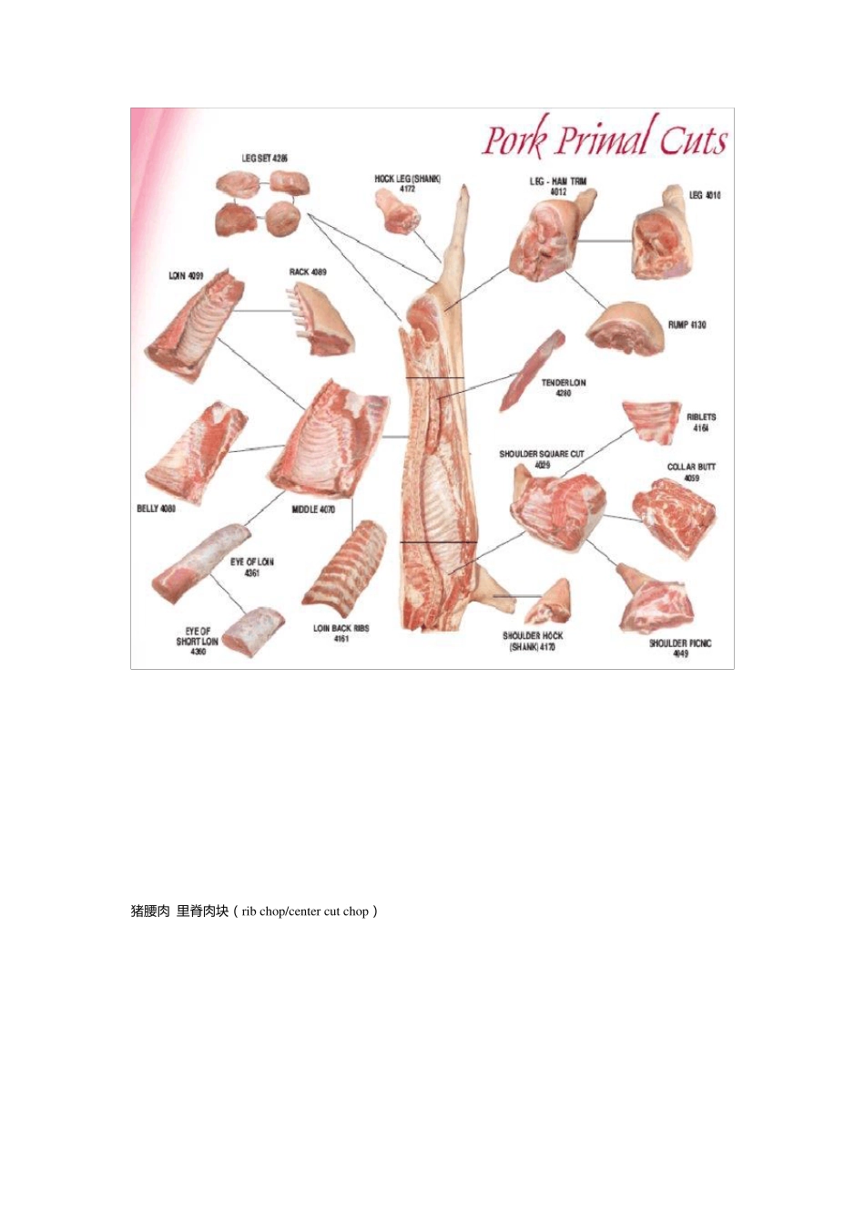 猪肉的分割和解说_第2页