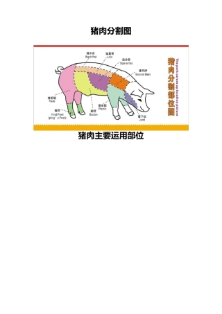 猪肉的分割和解说