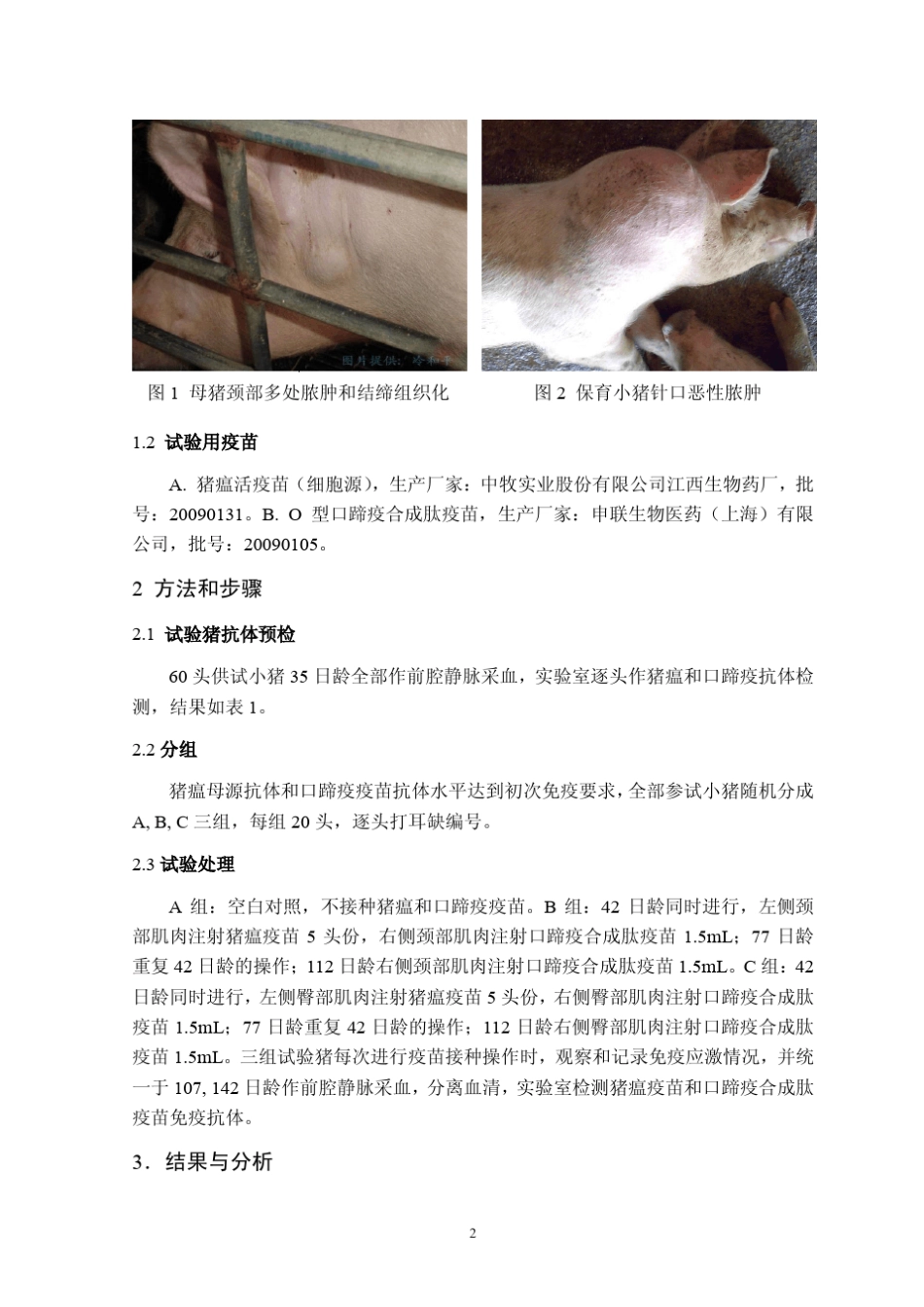猪臀部肌肉与颈部肌肉注射免疫效果的对照试验_第2页