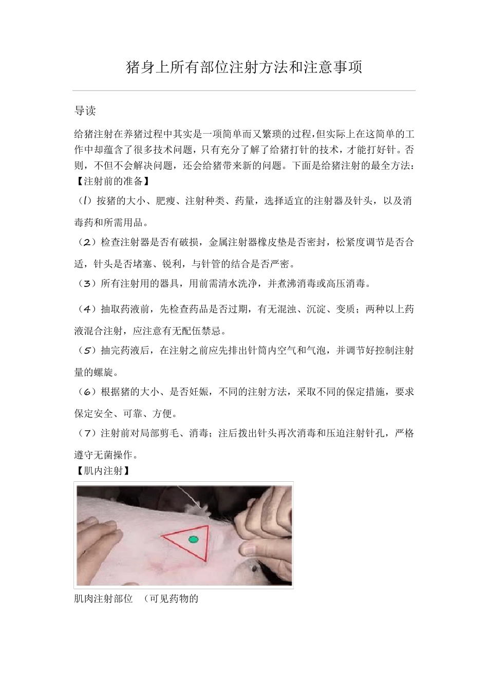 猪身上所有部位注射方法和注意事项_第1页