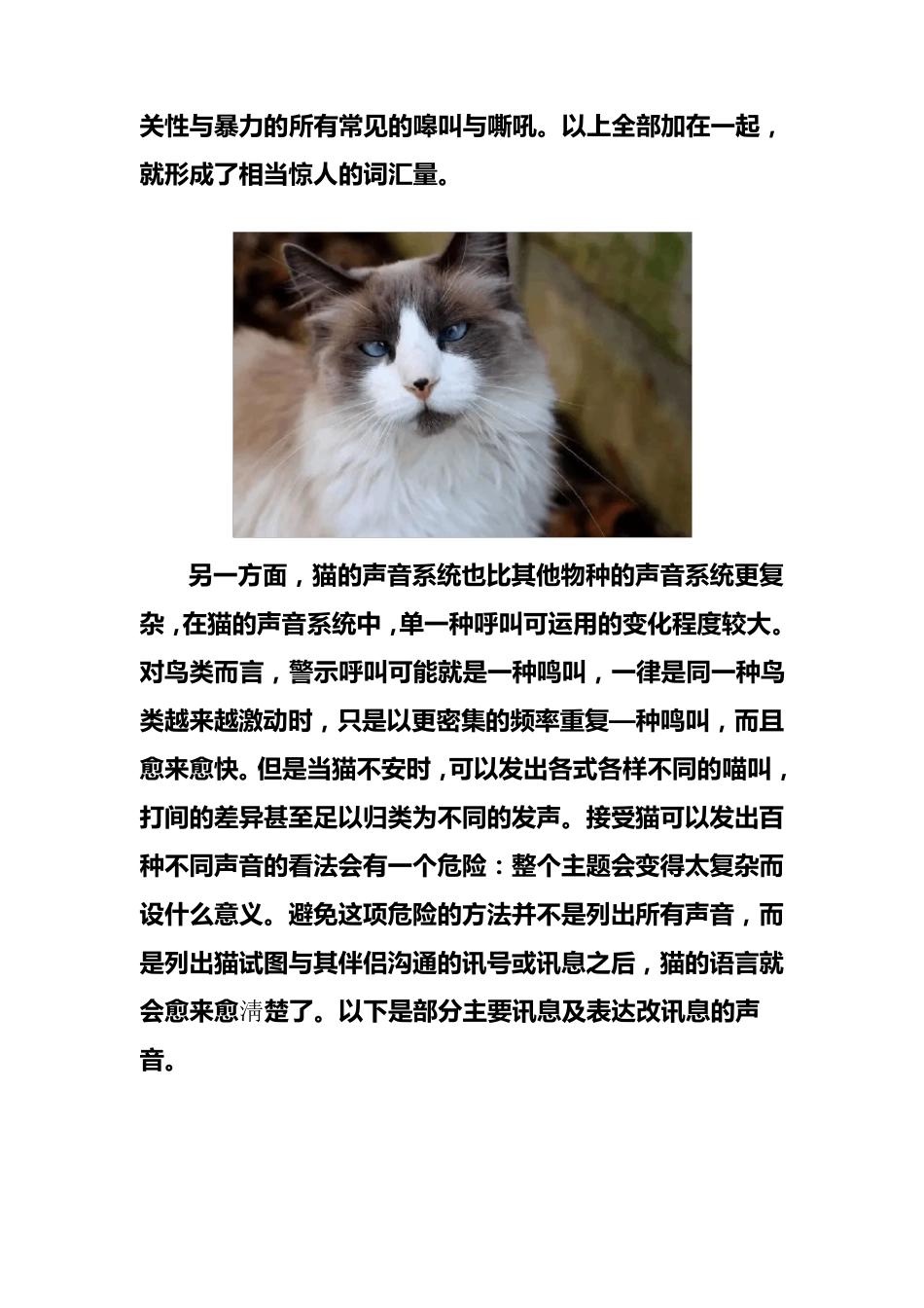 猫咪表达情绪时发出的7种声音低吼喵叫声_第2页
