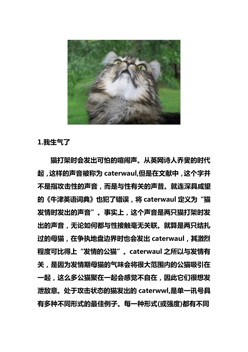 猫咪表达情绪时发出的7种声音低吼喵叫声_第3页