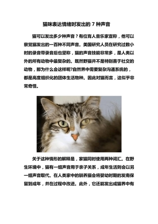 猫咪表达情绪时发出的7种声音低吼喵叫声