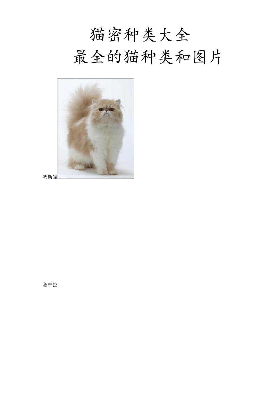 猫密种类大全最全的猫种类和图片_第1页