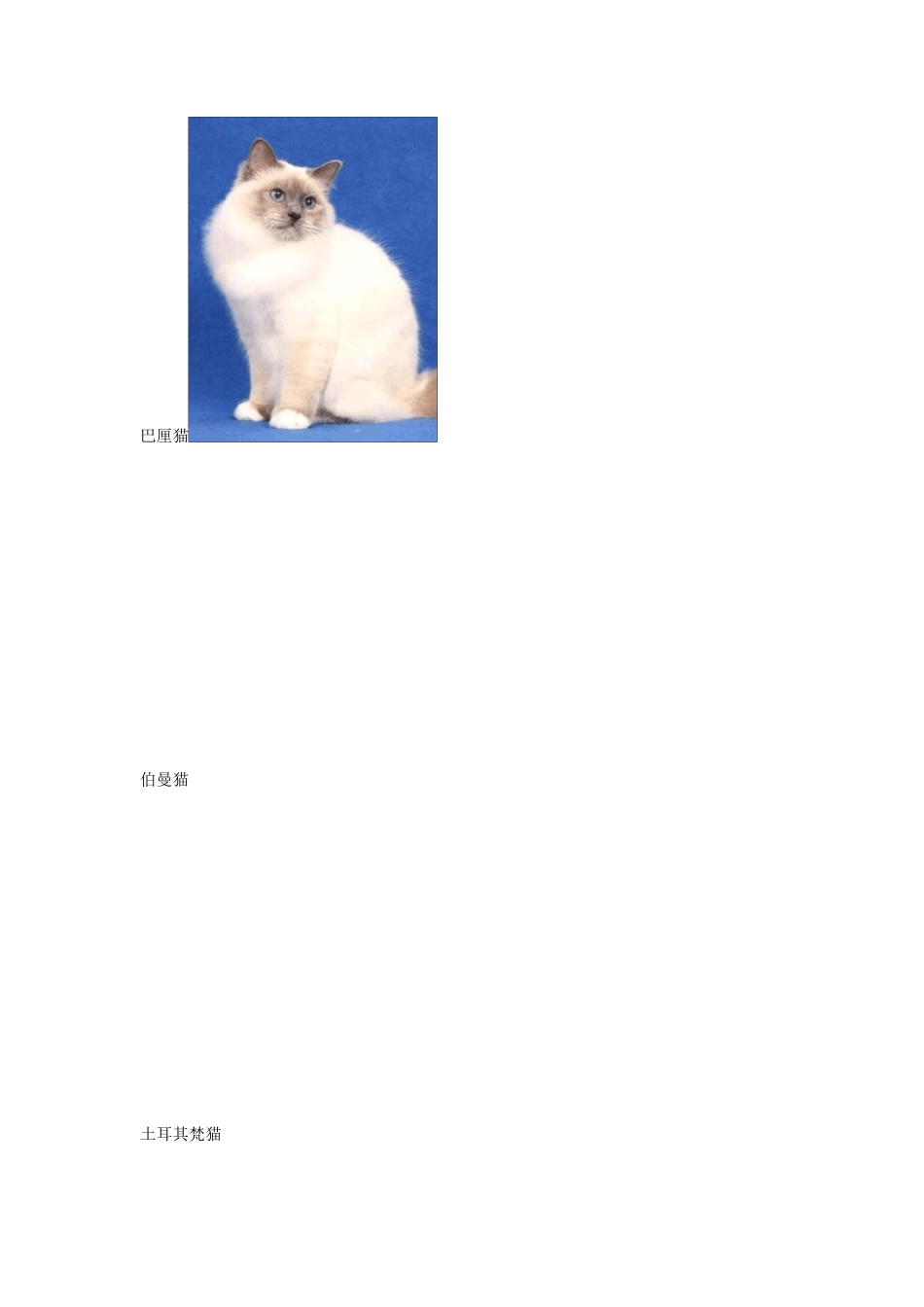 猫密种类大全最全的猫种类和图片_第2页