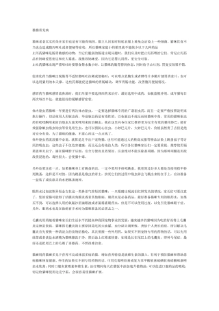 猫猫的常见病及用药