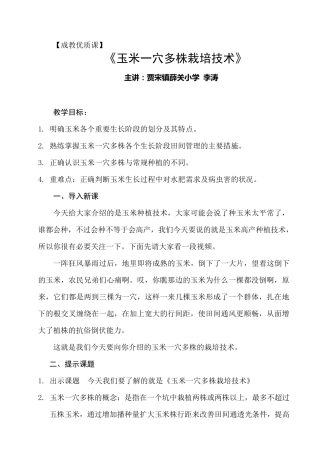 玉米一穴多株栽培技术
