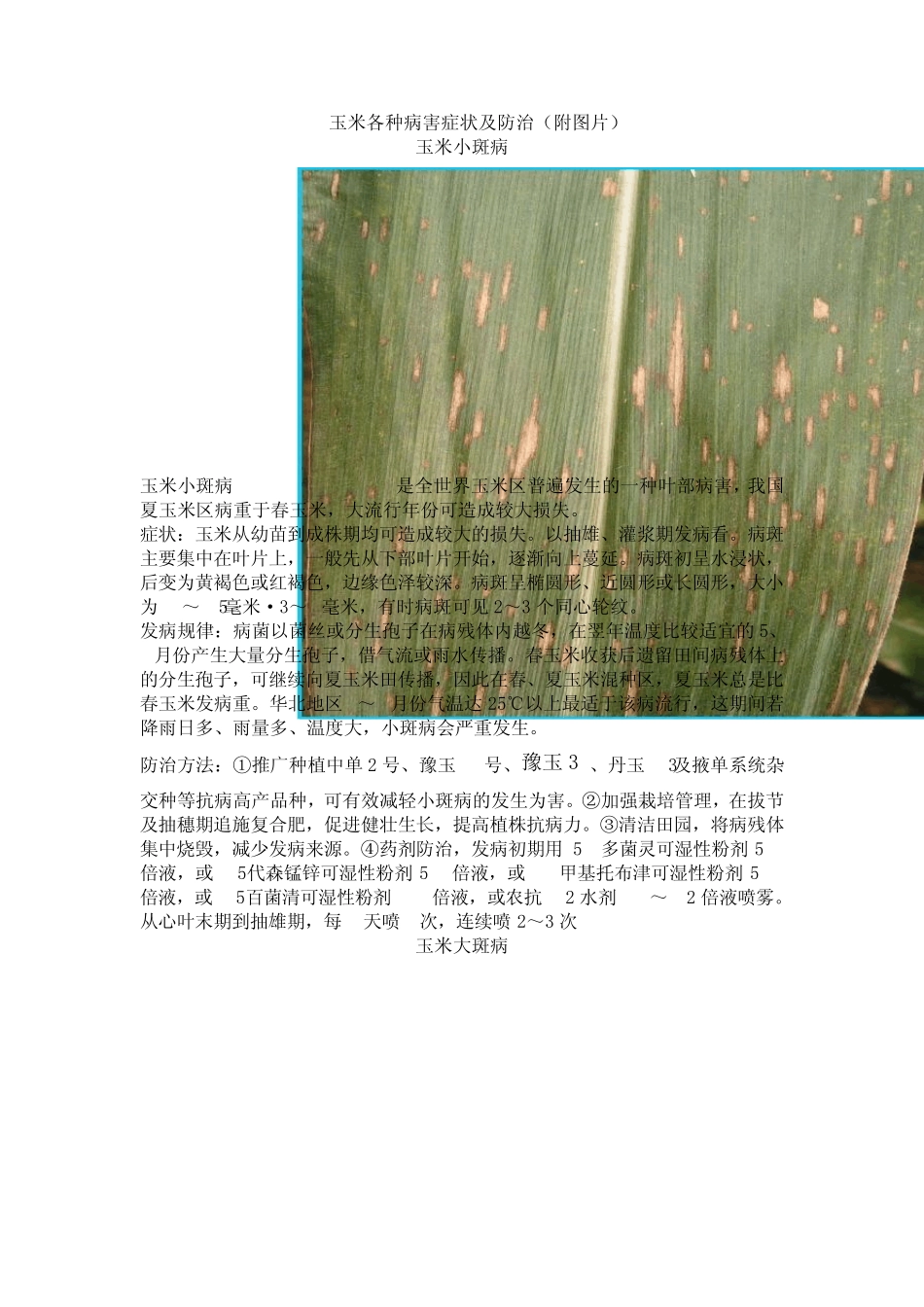 玉米主要病害_第1页