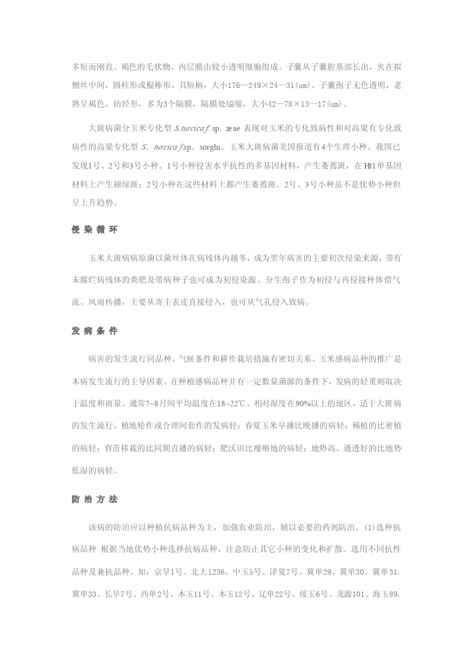 玉米病害图谱_第2页