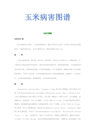 玉米病害图谱