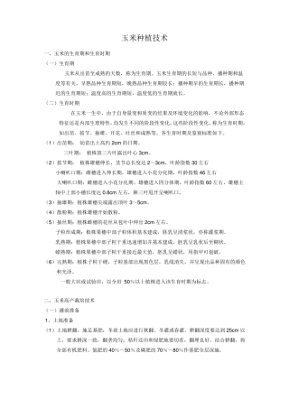 玉米种植技术