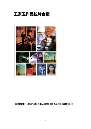 王家卫作品拉片合辑