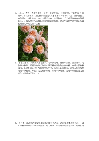 玫瑰品种资料