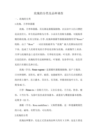 玫瑰的分类及品种调查