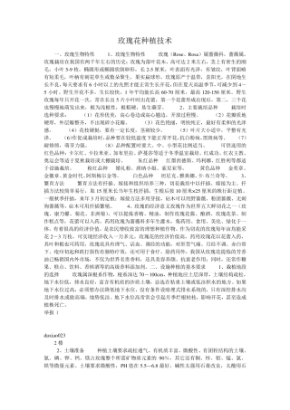 玫瑰花种植技术