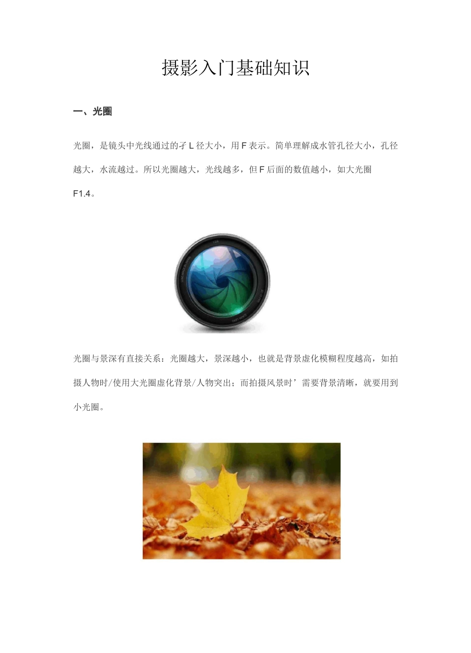 摄影入门基础知识及17种摄影构图技巧_第1页