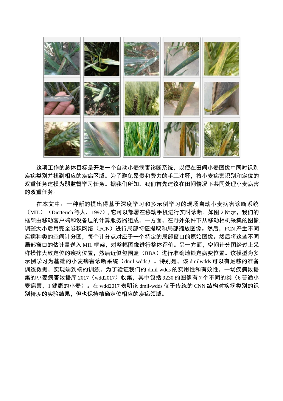 田间小麦病害自动诊断系统_第2页