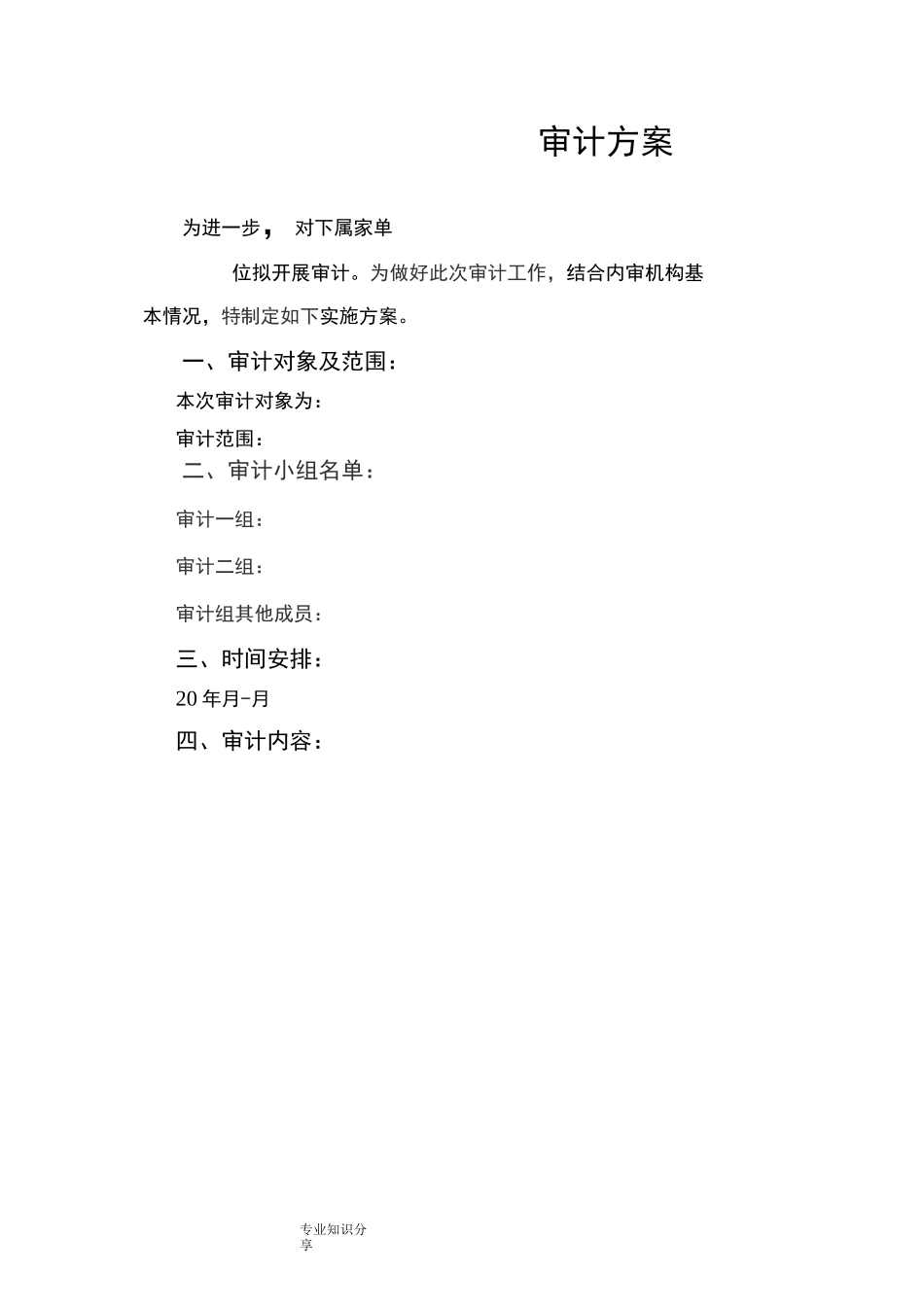 内部审计常用表格文书_第2页