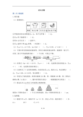 六年级下册数学试题-式与方程有答案人教版