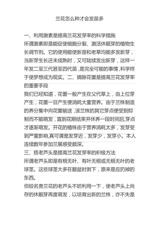 兰花怎么种才会发苗多