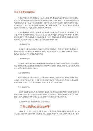 兰花在夏季病虫害防治