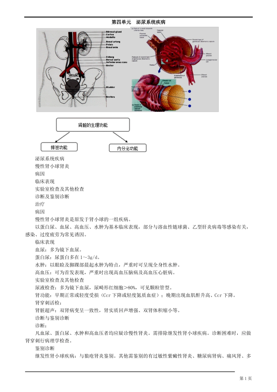 内科学-泌尿系统疾病_第1页