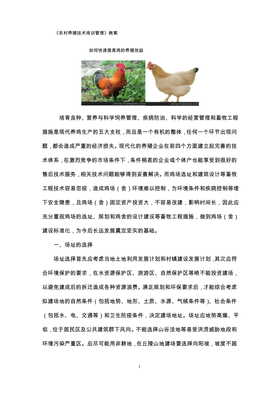 农村鸡养殖技术培训教案_第1页