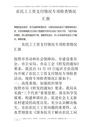 农民工工资支付情况专项检查情况汇报