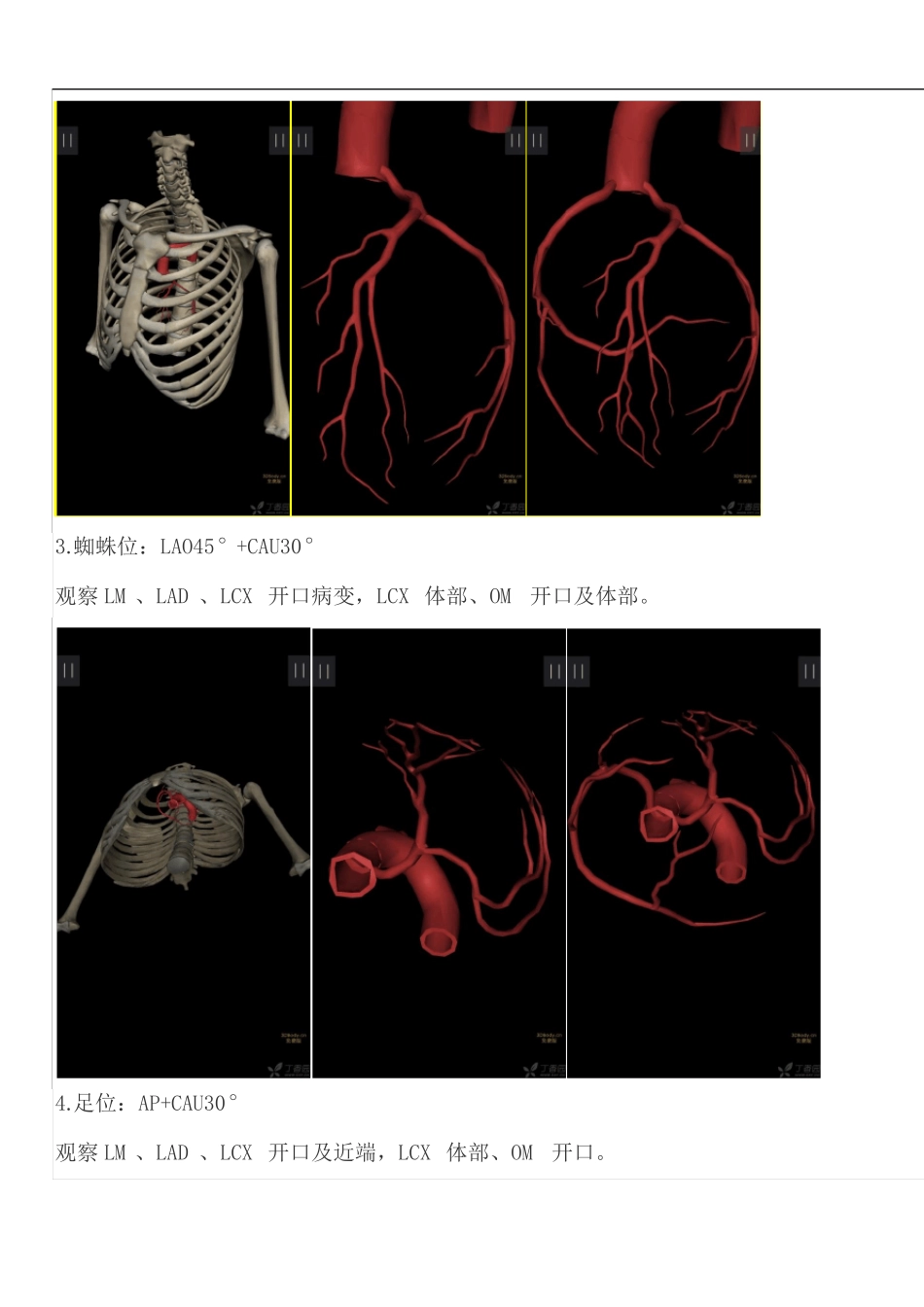 冠脉造影常用体位_第2页
