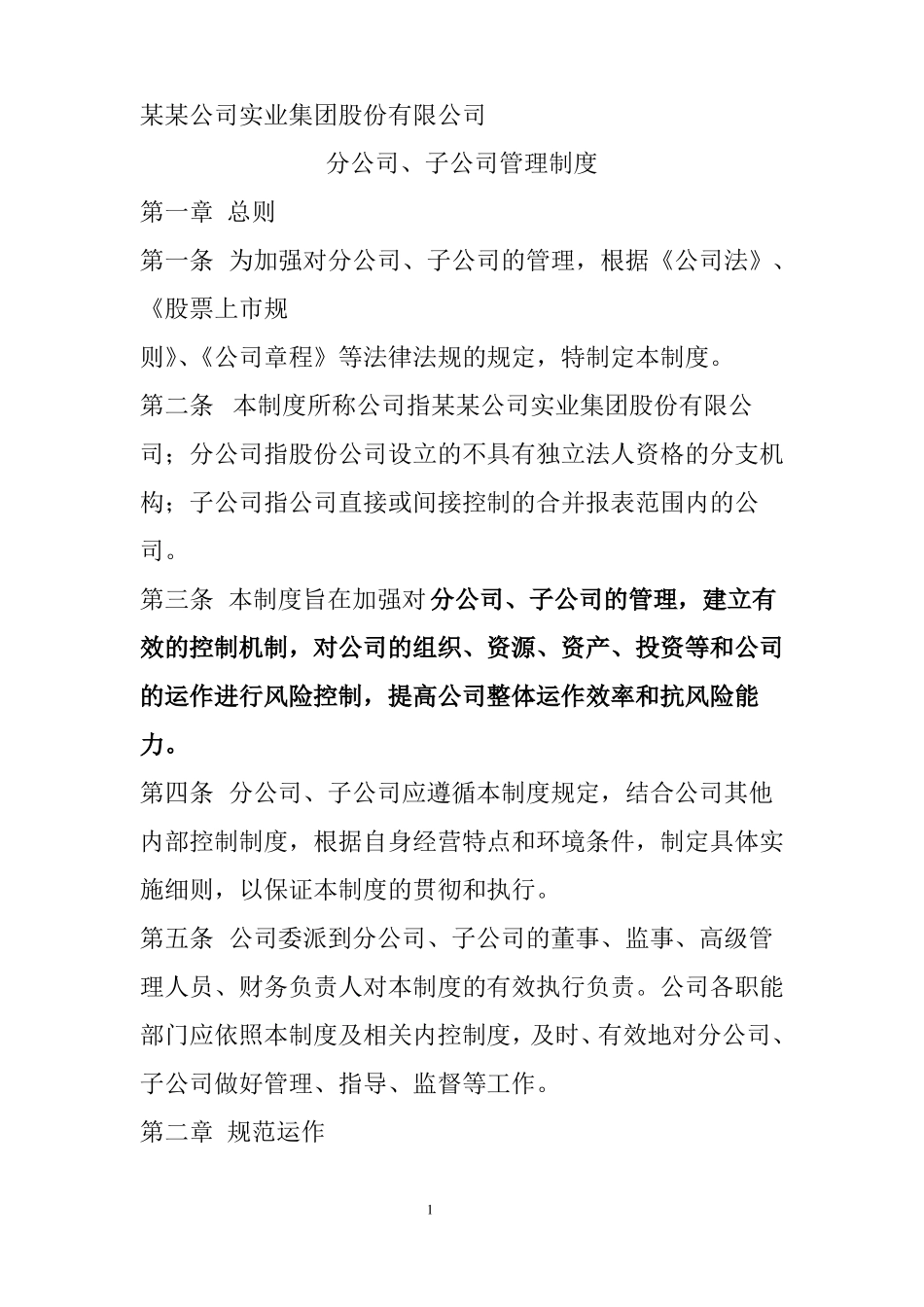 分子公司管理制度_第1页