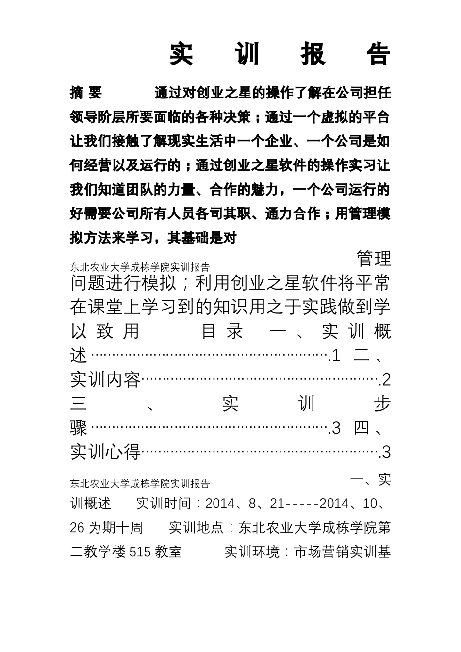 创业之星实训报告_第1页