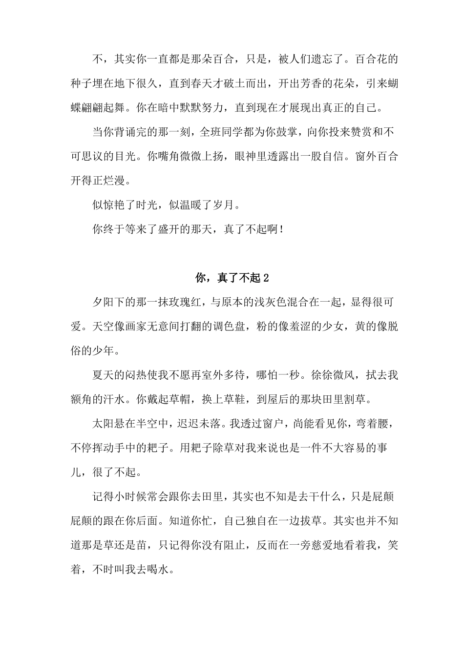 初中优秀作文中考作文你真了不起_第2页