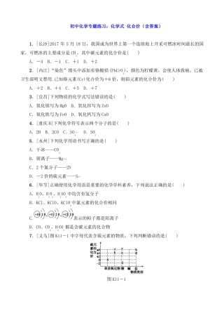 初中化学专题练习：化学式化合价含答案