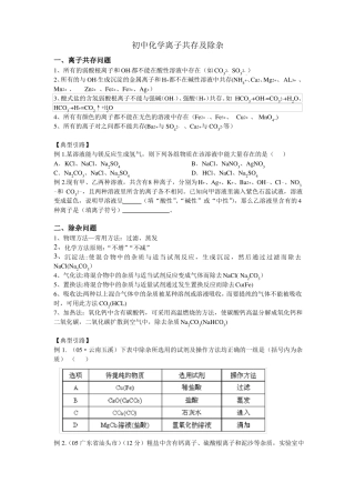 初中化学离子共存及除杂讲解及练习好