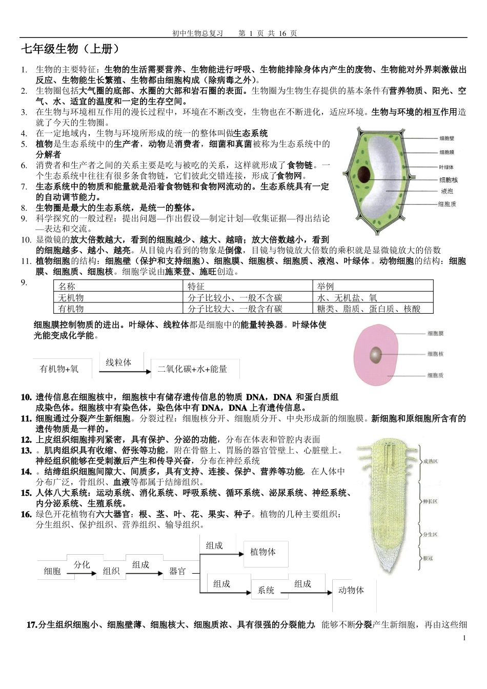 初中生物总复习提纲{带彩图}新人教版_第1页