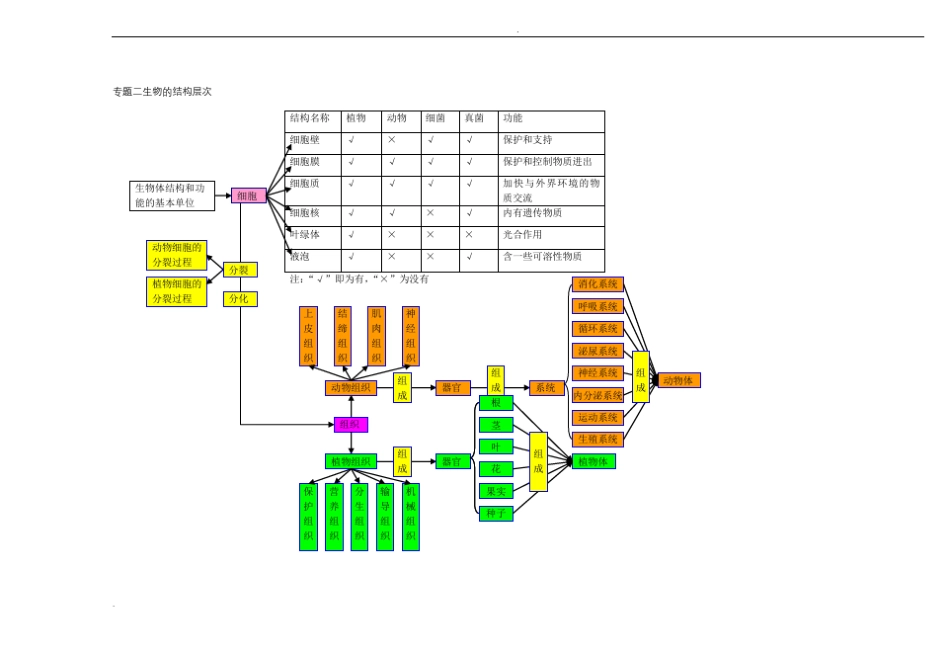初中生物思维导图大全_第2页