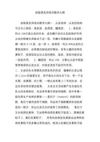初级美发师培训教学大纲