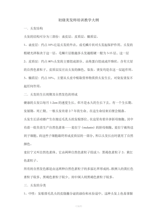 初级美发师教学大纲