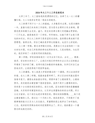 2024年大三个人工作总结范本
