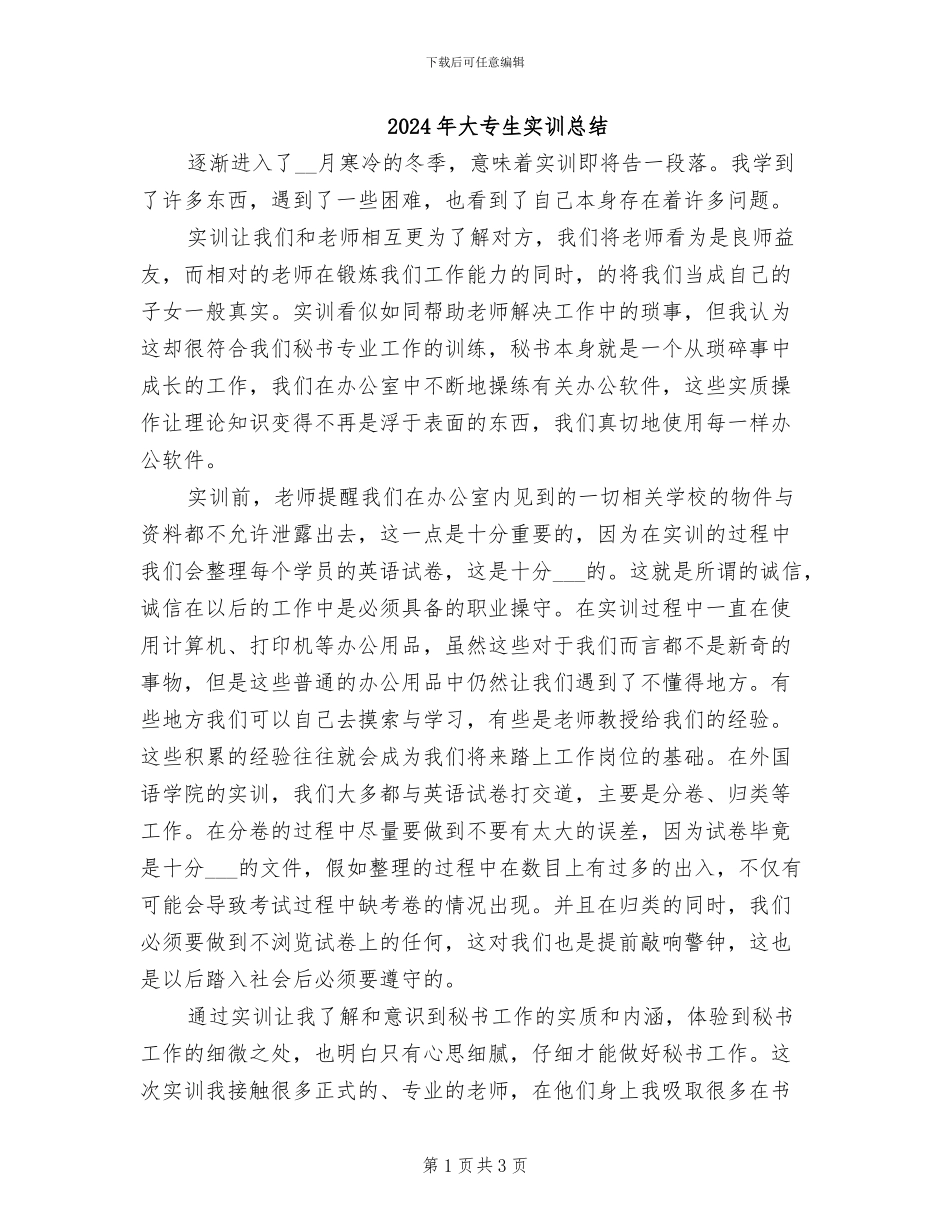 2024年大专生实训总结_第1页