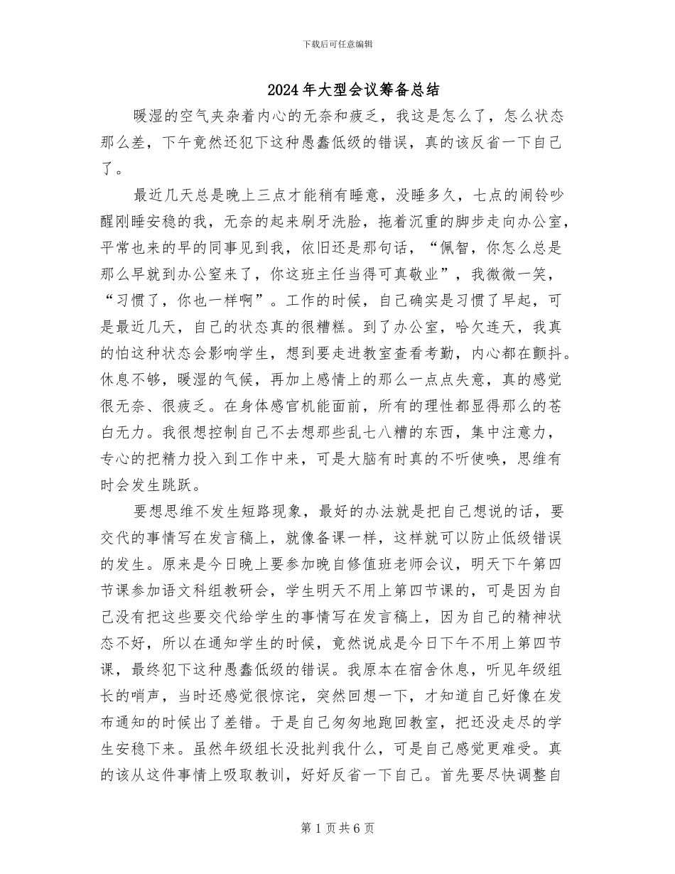 2024年大型会议筹备总结_第1页